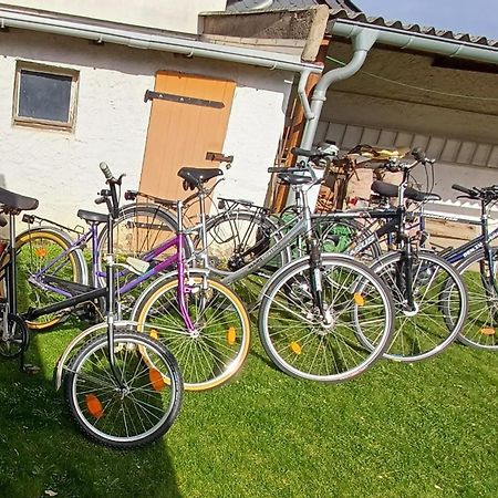 Ferienwohnung Fam. Schade Beilrode Exterior foto